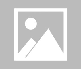 【意杯】威尼斯vs曼托瓦伤病名单最新(2025年08月17日)