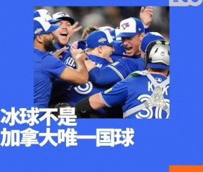 开云app-一个棒球队，如何征服了「冰球之国」|加拿大|蓝鸟队|MLB|美国|多伦多_新浪体育_新浪新闻